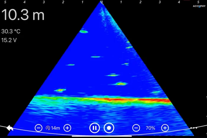 Élő lefelé nézet